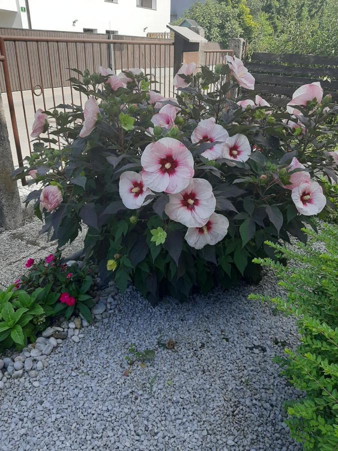 Holiday Home Livada 류블랴나 외부 사진